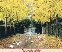 Des expérimentation