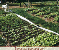 Des expérimentation