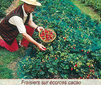 Des expérimentation