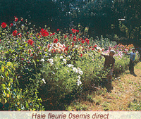 Des expérimentation