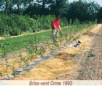 Des expérimentation