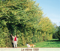 Des expérimentation