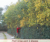 Des expérimentation