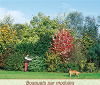 Des expérimentation