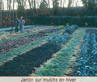 Des expérimentation