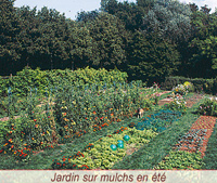 Des expérimentation