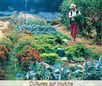 Des expérimentation